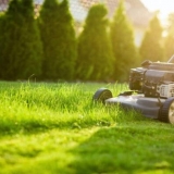 Vrste kosilica na točkovima: odaberite pravu